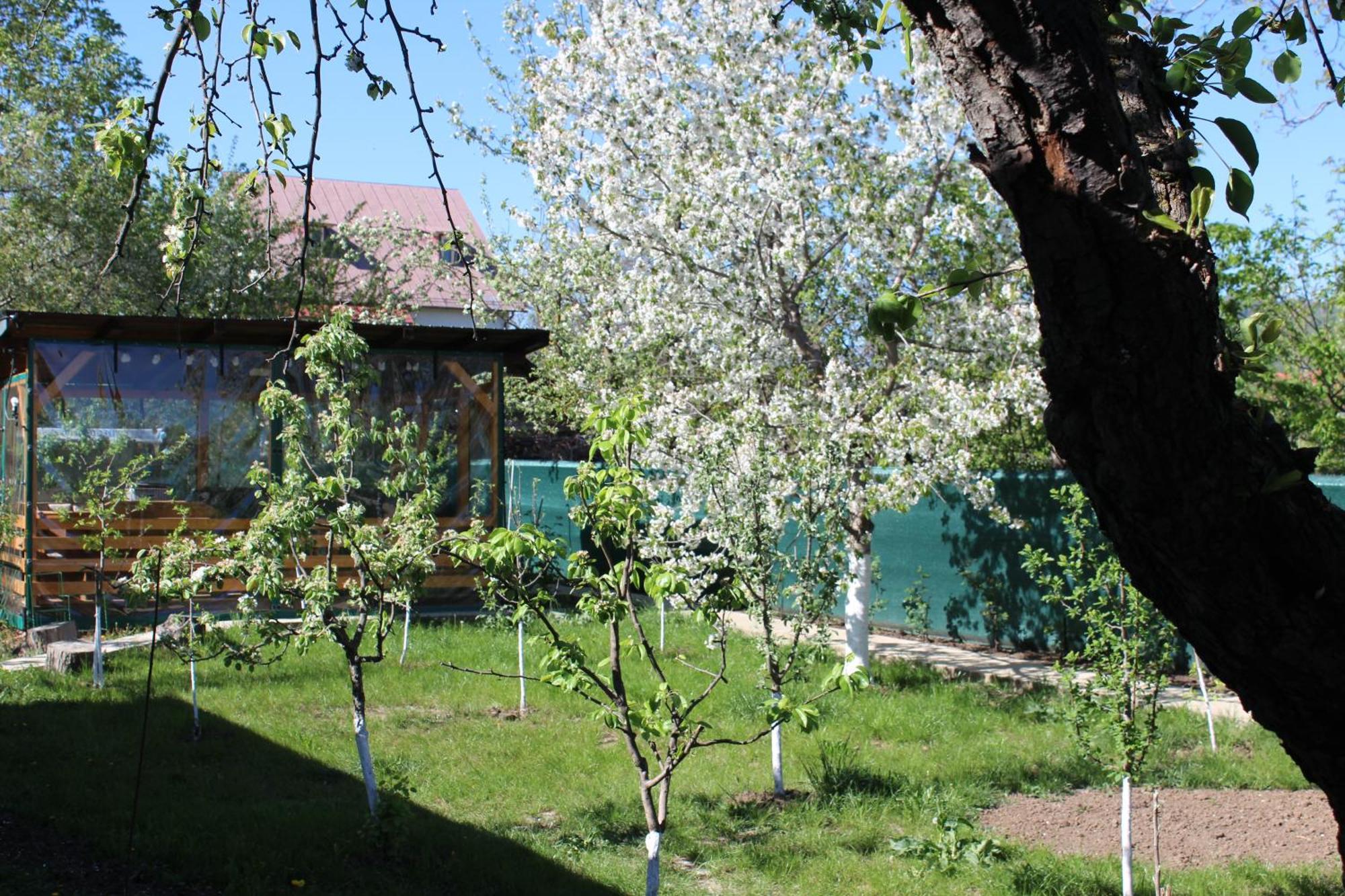 Casuta Artistilor Villa Breaza  Exterior photo